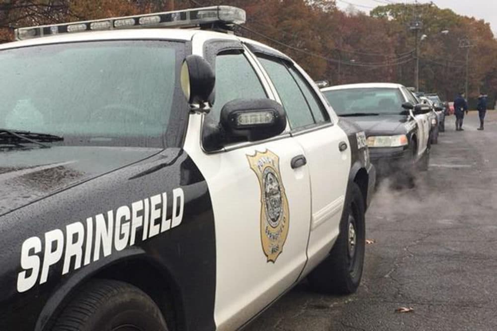 Police cruisers in Springfield, Massachusetts. (Courtesy The Springfield Republican/Masslive.com)