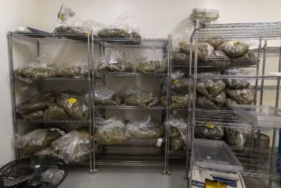 Bags of dried cannabis bud in the drying room. (Jesse Costa/WBUR)