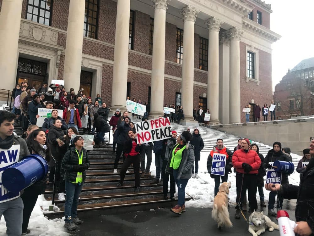Harvard University students and faculty members rallied last week to protest the tenure denial of Prof. Lorgia García Peña and to demand the school create an ethnic studies department. (Quincy Walters/WBUR)