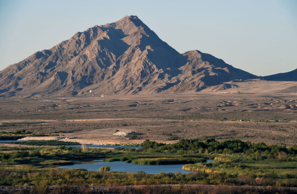 Clark County Wetlands Park is shown in front of Frenchman Mountain in Las Vegas, Nevada. (Ethan Miller/Getty Images)