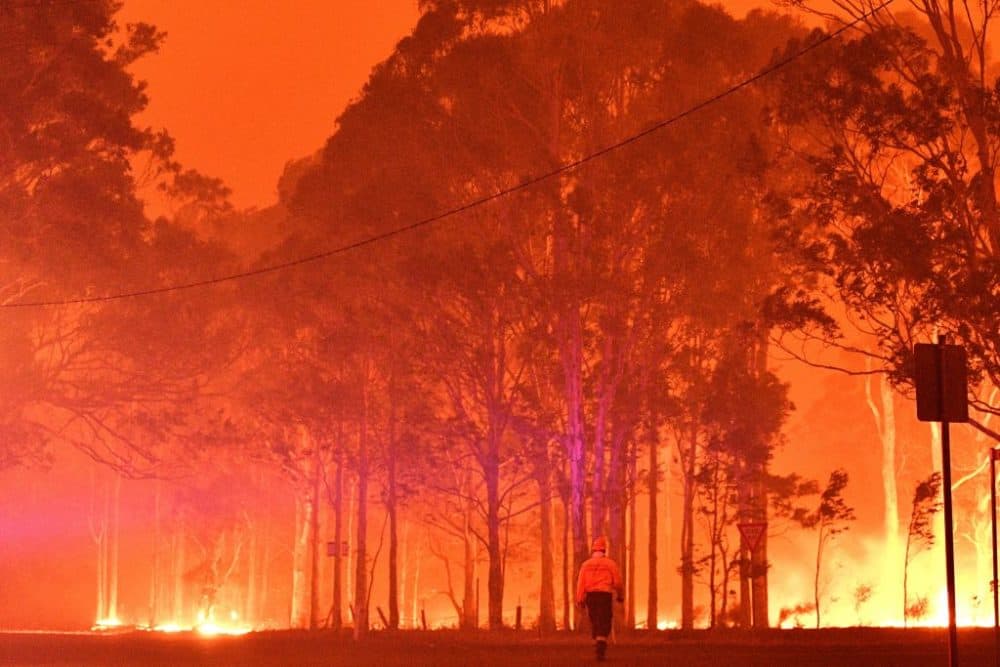 A firefighter walks past burning trees during a battle against bushfires in Australia. (Saeed Khan/AFP/Getty Images)