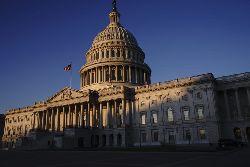The Capitol in Washington, D.C. (J. Scott Applewhite/AP)