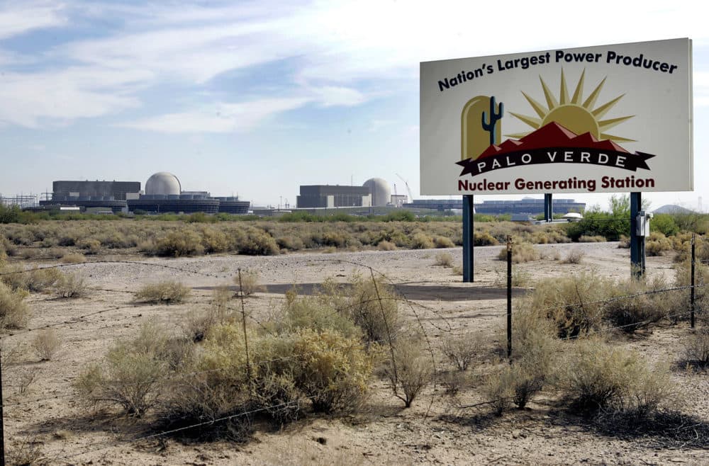 The Palo Verde Nuclear Generating Station in Wintersburg, Arizona. (Ross D. Franklin/AP)