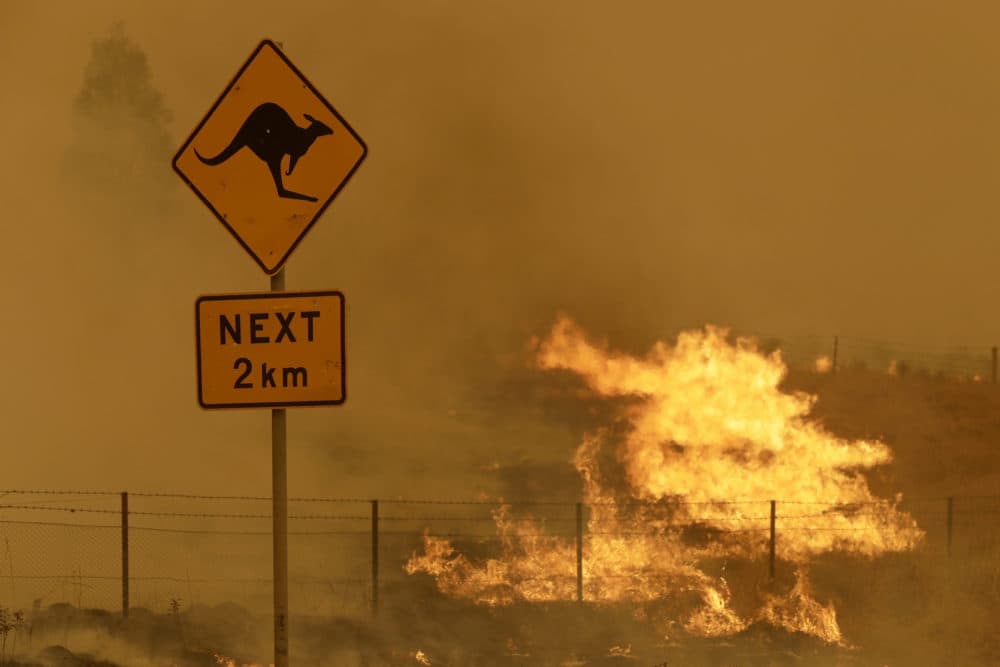 Fire burns in the grass near Bumbalong, south of the Australian capital, Canberra, Saturday, Feb. 1, 2020. (Rick Rycroft/AP)