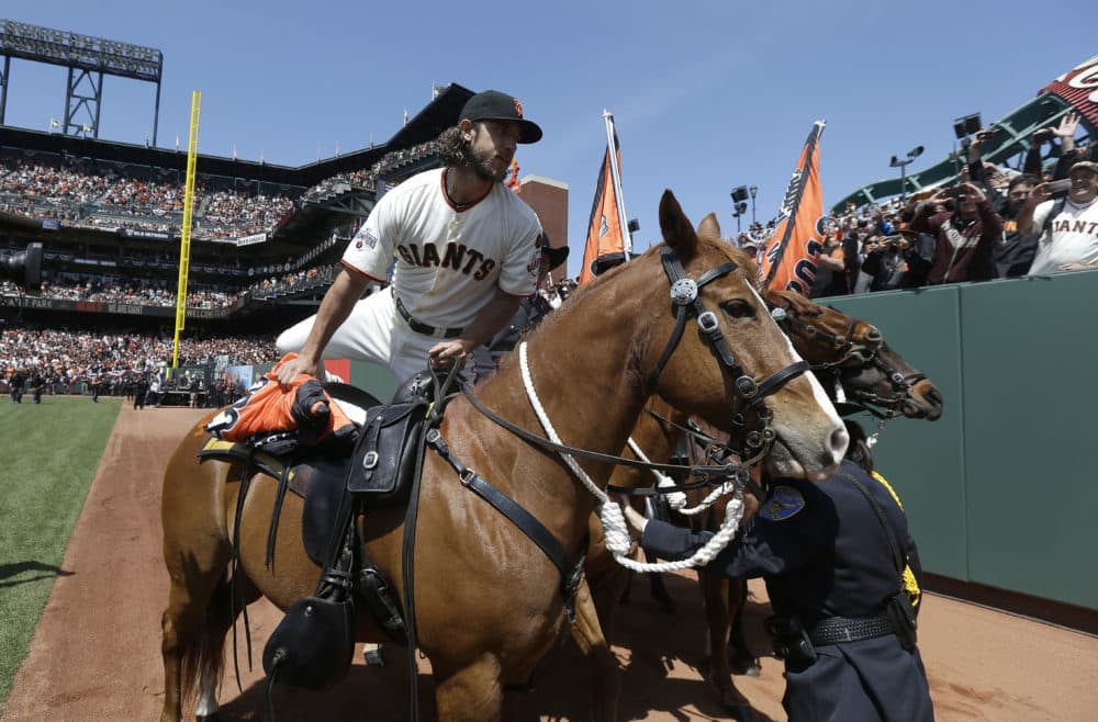 San Francisco Giants pitcher Madison Bumgarner mounts a San Francisco Police horse to carry the 2014 Giants championship pennant. (Jeff Chiu, AP)