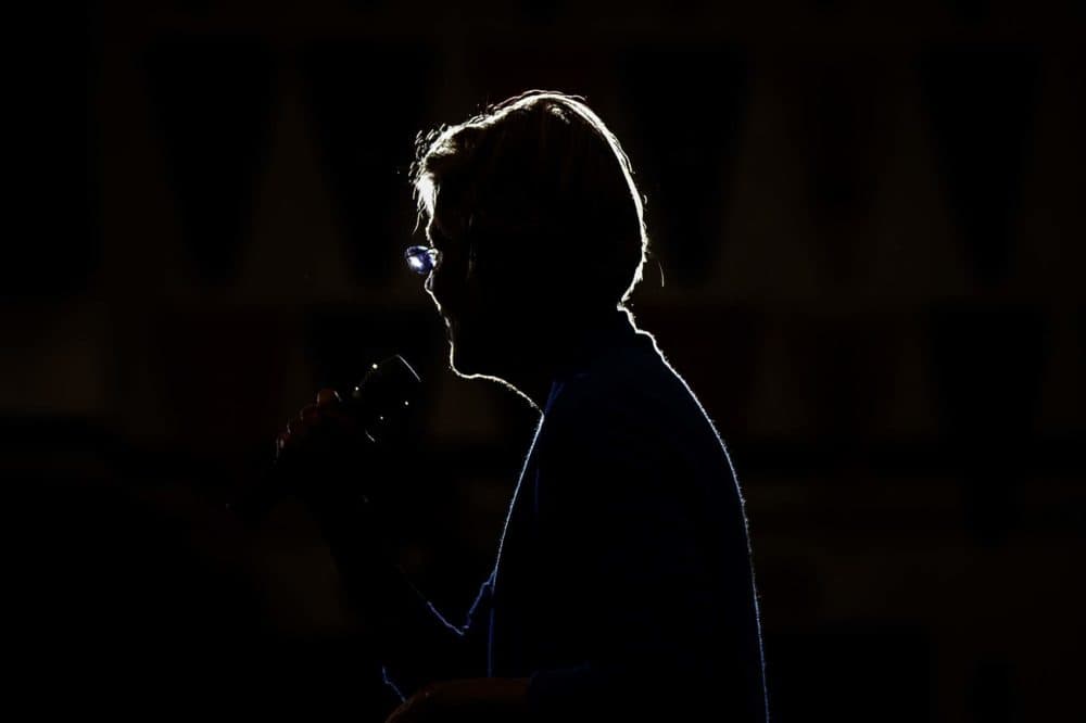 Sen. Elizabeth Warren speaks to supporters during a campaign event on Feb. 1, 2020 at West High School in Iowa City, IA. (Jesse Costa/WBUR)