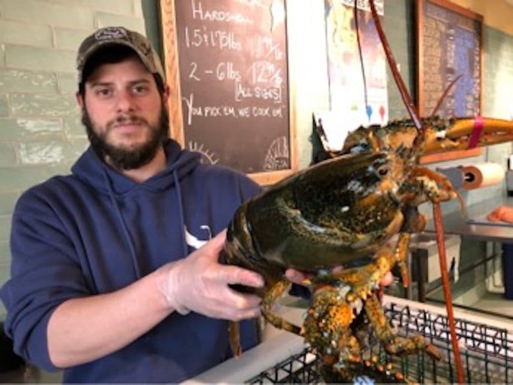 General Manager Derek Deweese holds a lobster in Mac's Seafood in Eastham (Lisa Mullins/WBUR)