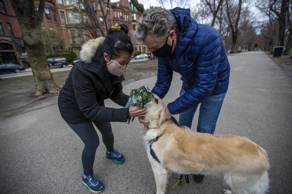 Shan Soe-Lin and Robert Hecht put a mask on their dog Spud while walking at the Commonwealth Avenue Mall. (Jesse Costa/WBUR)