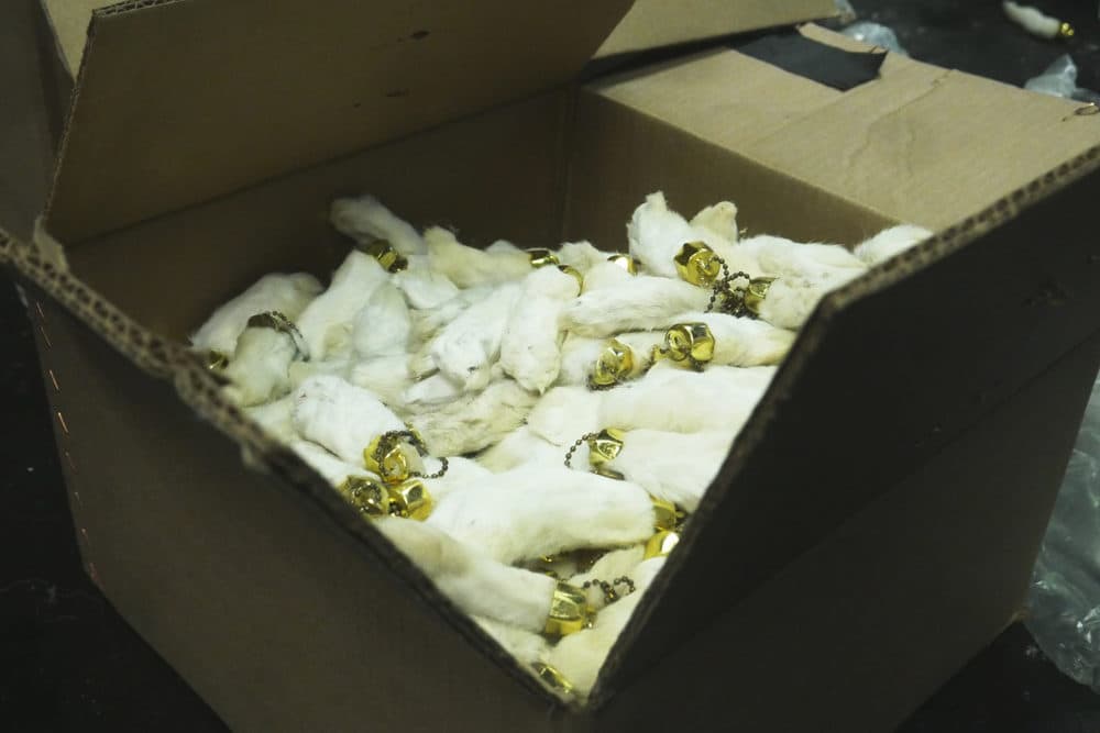 A box of rabbit feet, which will be used in Georden West's installation &quot;Queer Body in Ecstasy&quot; at the Dorchester Art Project. (Courtesy Emma Leavitt)