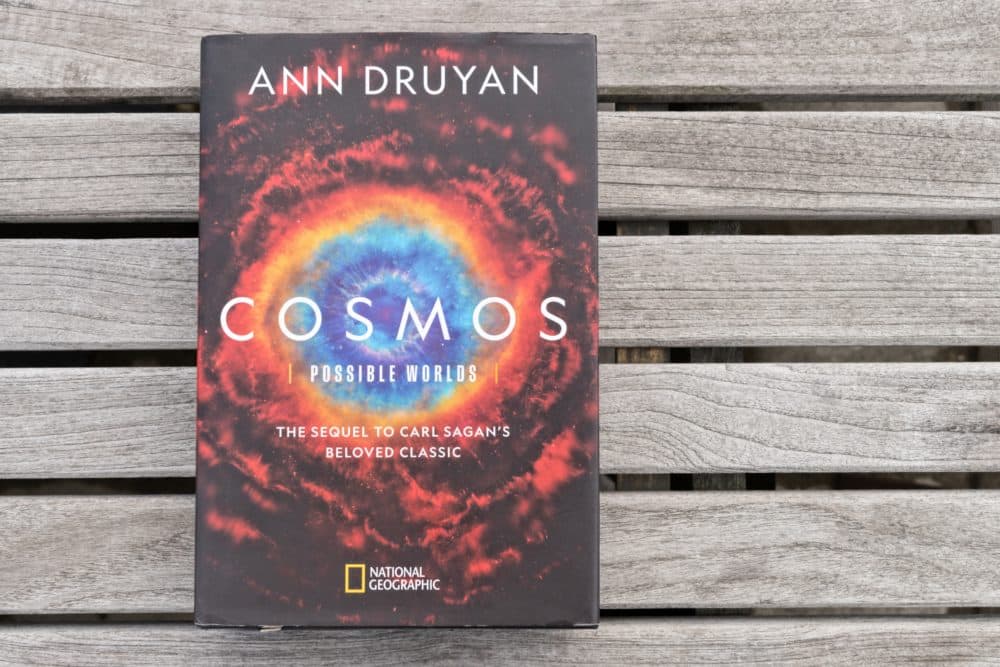 &quot;Cosmos: Possible Worlds&quot; by Ann Druyan. (Allison Hagan/Here & Now)
