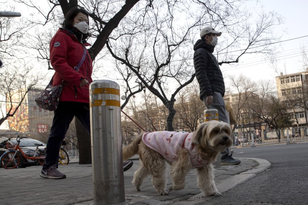 A resident wearing a mask walks her dog on the streets of Beijing on Thursday, March 5, 2020. (Ng Han Guan/AP)