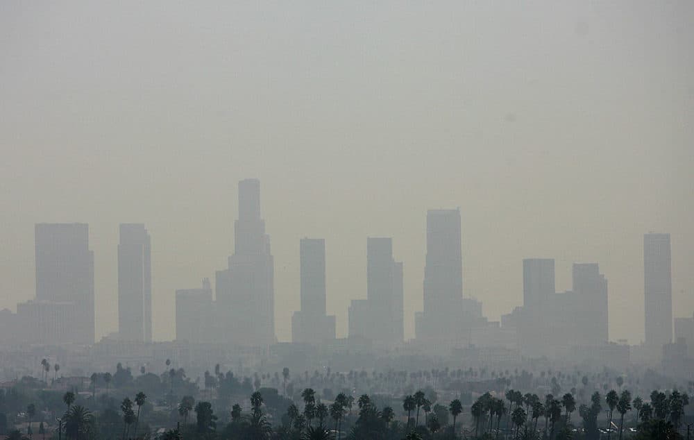 View of the air pollution over downtown Los Angeles in 2006, the year when several U.S. states and environmental organizations engaged in the fight against global warming by taking their case to the U.S. Supreme Court. (Gabriel Bouys/AFP/Getty Images)