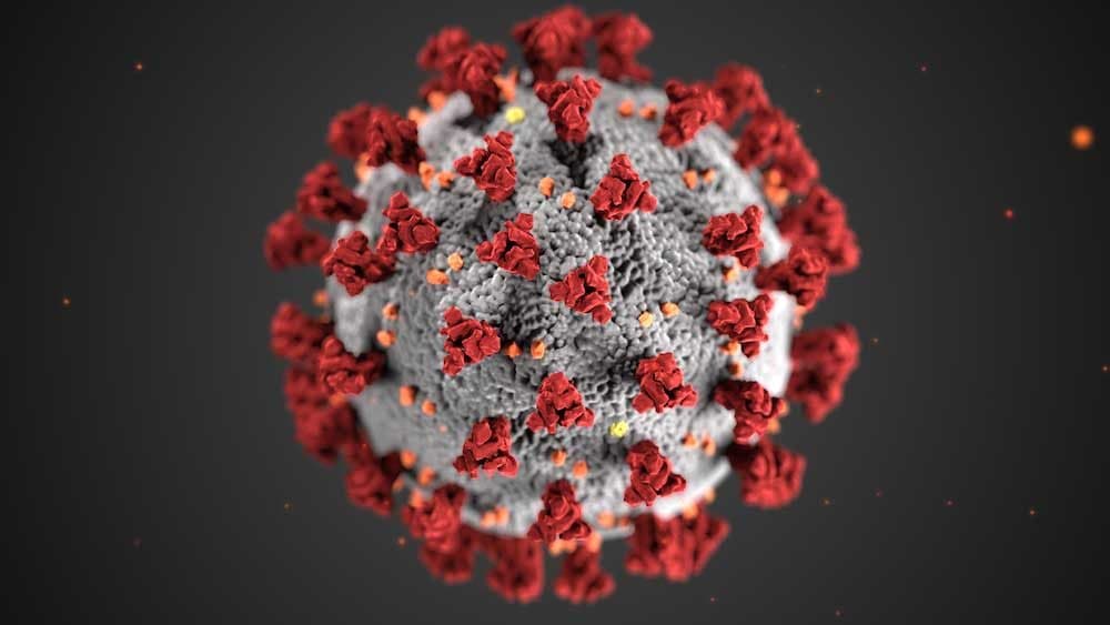 An illustration created at the Centers for Disease Control and Prevention of the coronavirus. (Courtesy CDC)