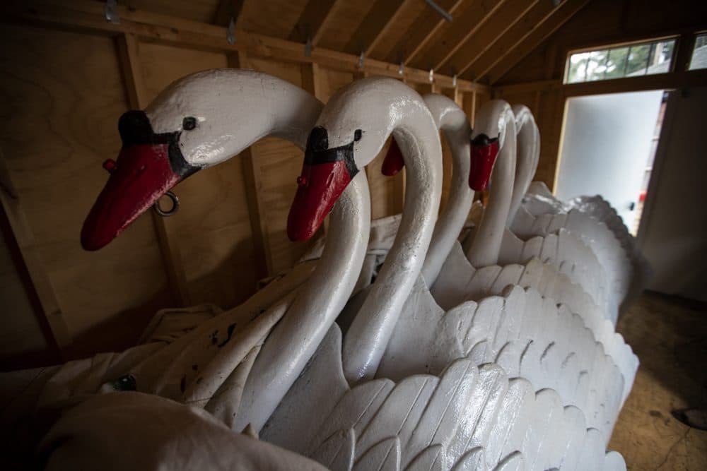 The swans that are normally mounted atop pontoons to float on the lagoon in the Public Garden in Boston will be kept in storage longer than expected this year. (Jesse Costa/WBUR)