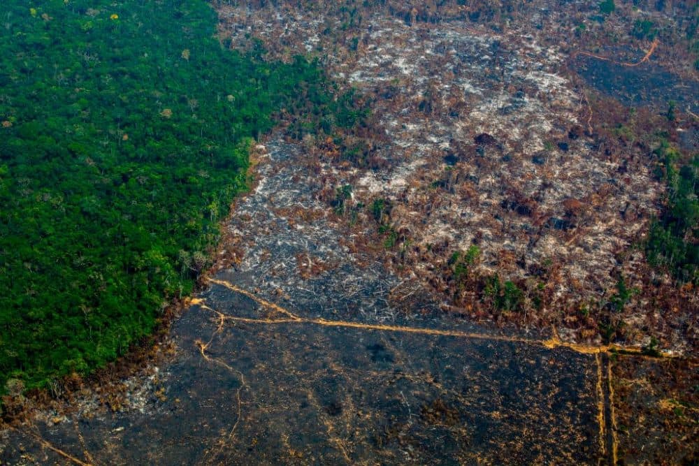 Aerial view of deforestation in Nascentes da Serra do Cachimbo Biological Reserve in Para state, Brazil, in the Amazon basin. (Joao Laet/AFP/Getty Images)