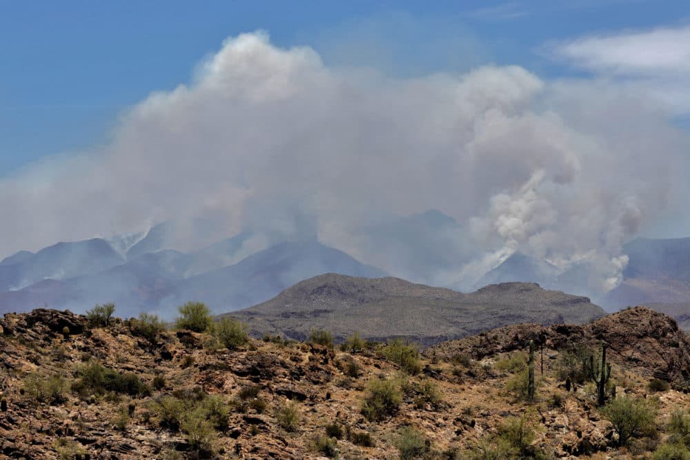 A portion of the Bush fire burns through the Tonto National Forest, Tuesday, June 16, 2020, as seen from Apache Junction, Arizona. (Matt York/AP)