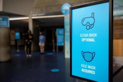 Visitors are required to wear face masks at the New England Aquarium, as it opens for the first time since March. Scuba masks remain optional. (Robin Lubbock/WBUR)