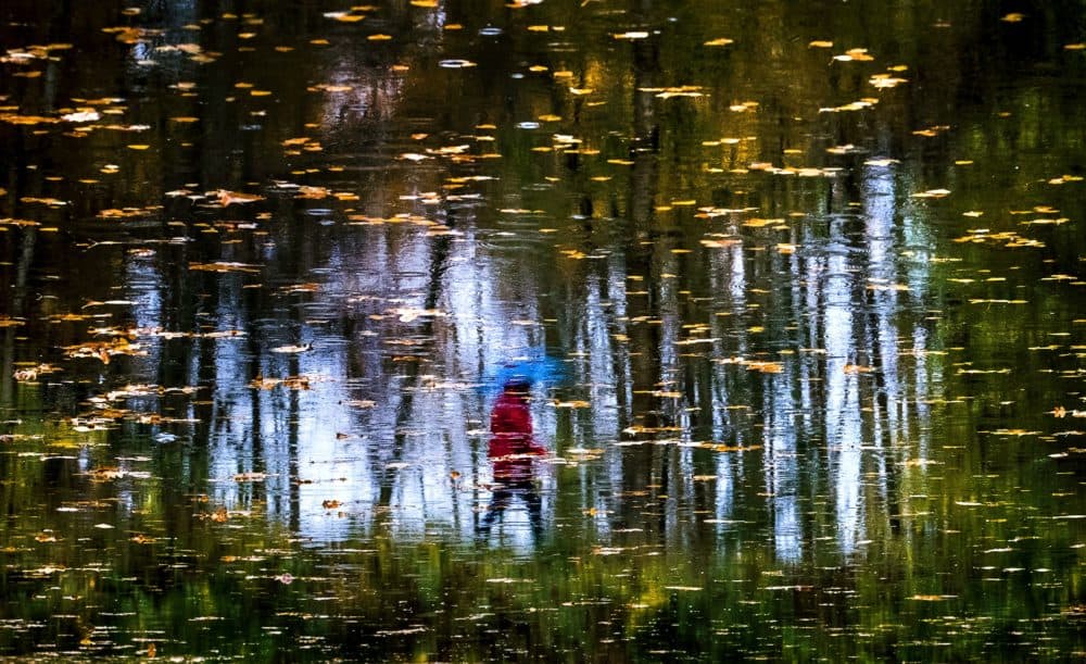 A woman is reflected in a puddle as she walks past a pond during rainy weather in a forest near the village of Meshcherskoye outside Moscow on October 15, 2017. / (Yuri Kadobnova/ AFP via Getty Images)