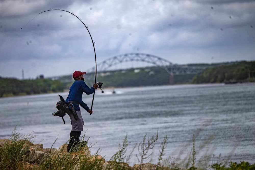 A fisherman casts his fishing line out into the Cape Cod Canal in Sandwich. (Jesse Costa/WBUR)