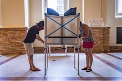 Early voting in the Massachusetts primary at the Boston Public Library. (Jesse Costa/WBUR)
