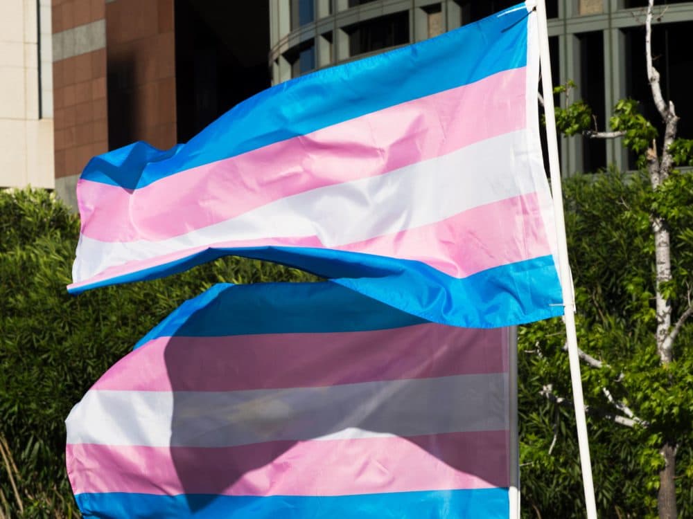 Transgender Pride Flag Flies At World Series Game 5
