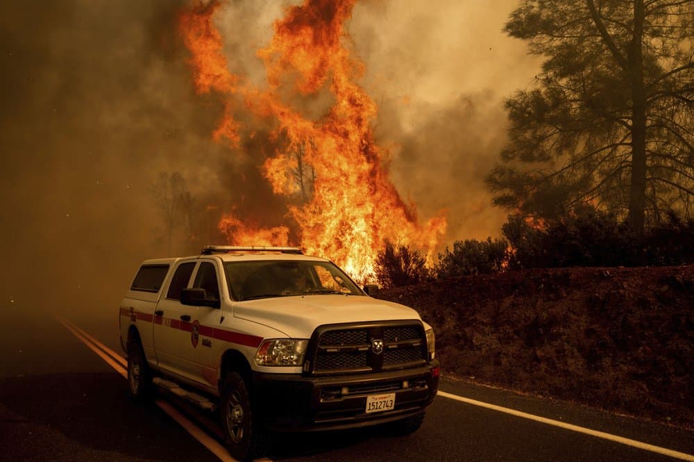 Flames from the LNU Lightning Complex fires leap above Butts Canyon Road on Aug. 23, 2020, in unincorporated Lake County, California. (Noah Berger/AP)