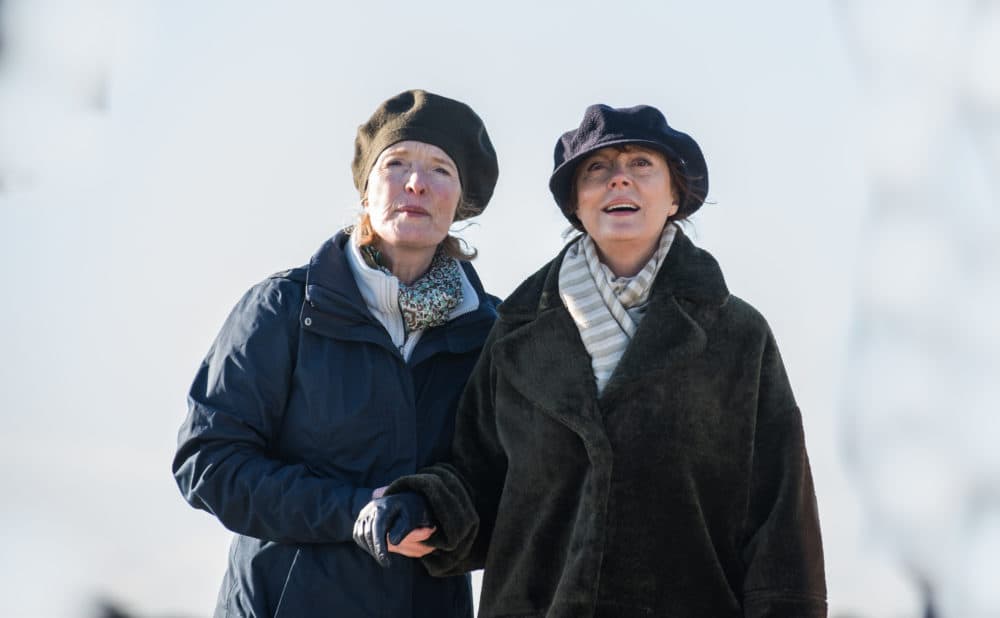 Lindsay Duncan as Liz and Susan Sarandon as Lily in &quot;Blackbird.&quot; (Parisa Taghizadeh, Courtesy of Screen Media)