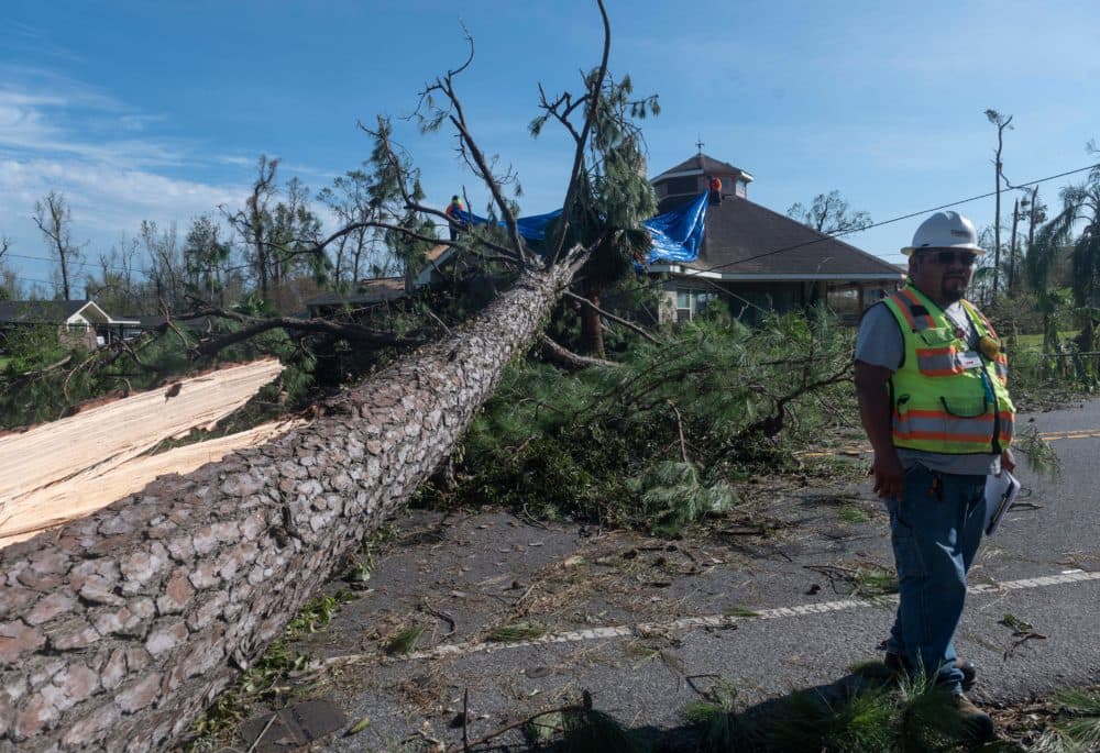 An electric company employee surveys the damage done to the power lines next to a large tree that fell on a house following the passage of Hurricane Laura in Lake Charles, Louisiana, on Aug. 27, 2020. (Andrew Caballero-Reynolds/AFP via Getty Images)