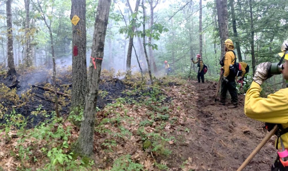 Firefighters work to contain a brush fire on Joshua Hill in Leverett, Mass., in August. (Courtesy MassWildlife)