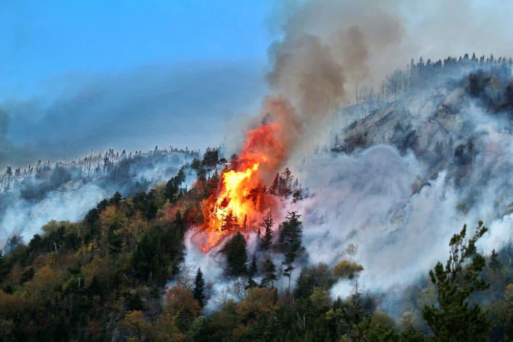 The Dilly Cliff Fire burned 75 acres in New Hampshire in 2017, after a similar prolonged drought to one taking place this summer. (Courtesy of Ken Watson/kenwatson.net via NHPR)