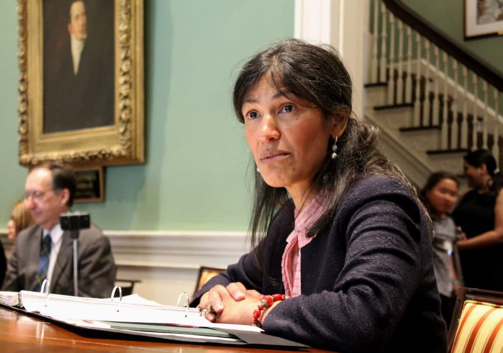 Dalila Argaez Wendlandt at a Governor's Council hearing in 2017. (SHNS File Photo)