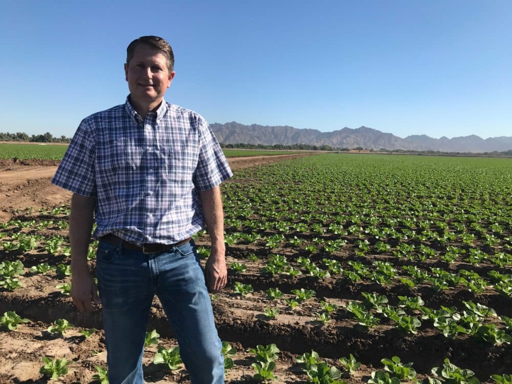 Jon Boelts, a lettuce farmer in Yuma, Arizona. (Peter O'Dowd/Here & Now)