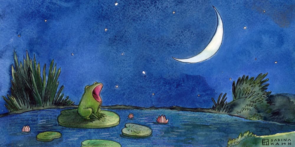 (&quot;Little Frog’s Big Voice&quot; by Sabina Hahn)