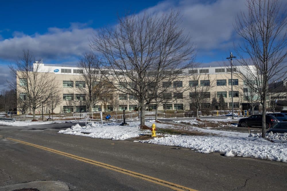 The Pfizer Biotechnology Manufacturing Research and Development facility in Andover. (Jesse Costa/WBUR)
