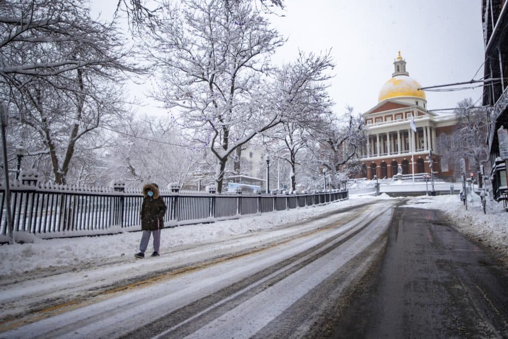 A woman walks down Park Street during the snow storm. (Jesse Costa/WBUR)
