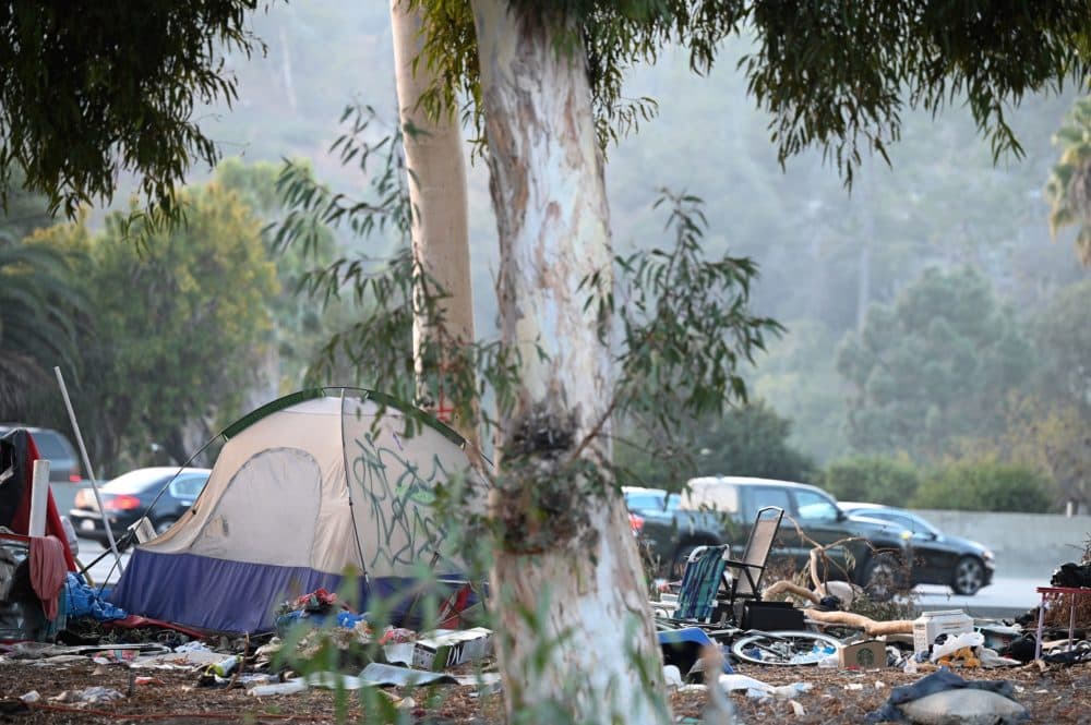 A homeless encampment is seen along a freeway in Hollywood, California, November 23, 2020. (Photo by Robyn Beck / AFP via Getty Images)