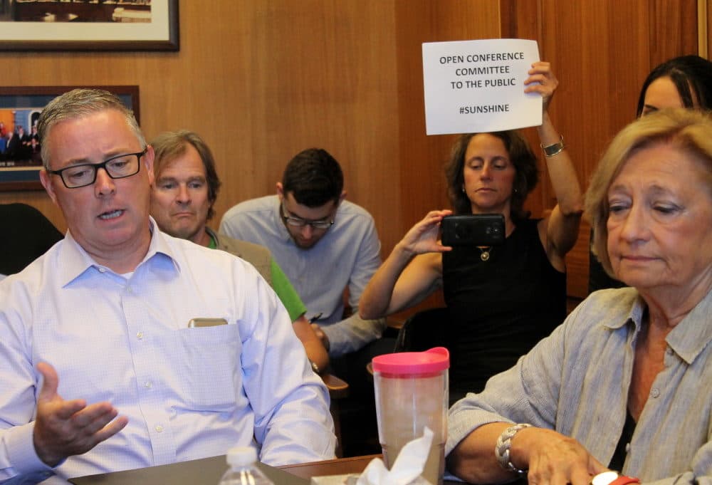 Emily Norton, then-director of the Sierra Club Massachusetts Chapter, held up a sign July 19, 2018 promoting &quot;sunshine&quot; and calling for members of a clean energy conference committee, including Reps. Thomas Golden and Patricia Haddad (foreground), to keep their talks open to the public rather than entering executive session. (Sam Doran/SHNS File)