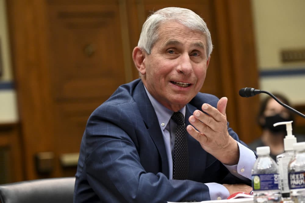 Director of the National Institute of Allergy and Infectious Diseases Dr. Anthony Fauci. (Erin Scott-Pool/Getty Images)
