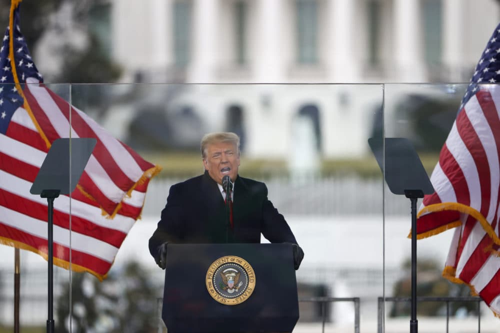 President Donald Trump speaks at the &quot;Stop The Steal&quot; Rally on January 06, 2021 in Washington, DC. (Tasos Katopodis/Getty Images)