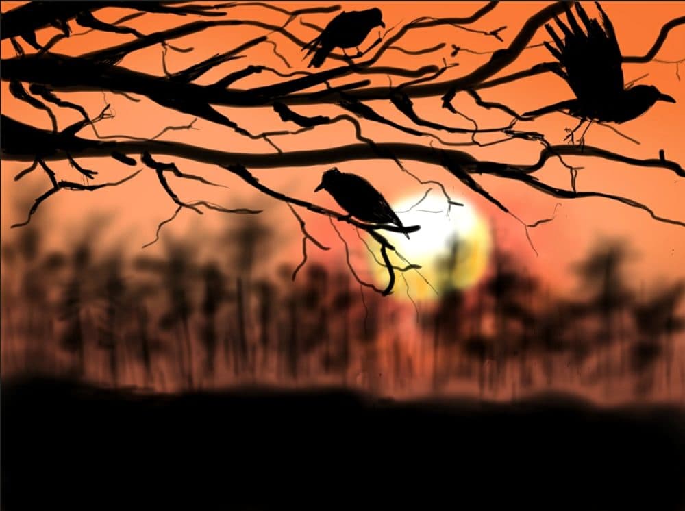 &quot;Sunset crows&quot; by u/Handicappedfruit