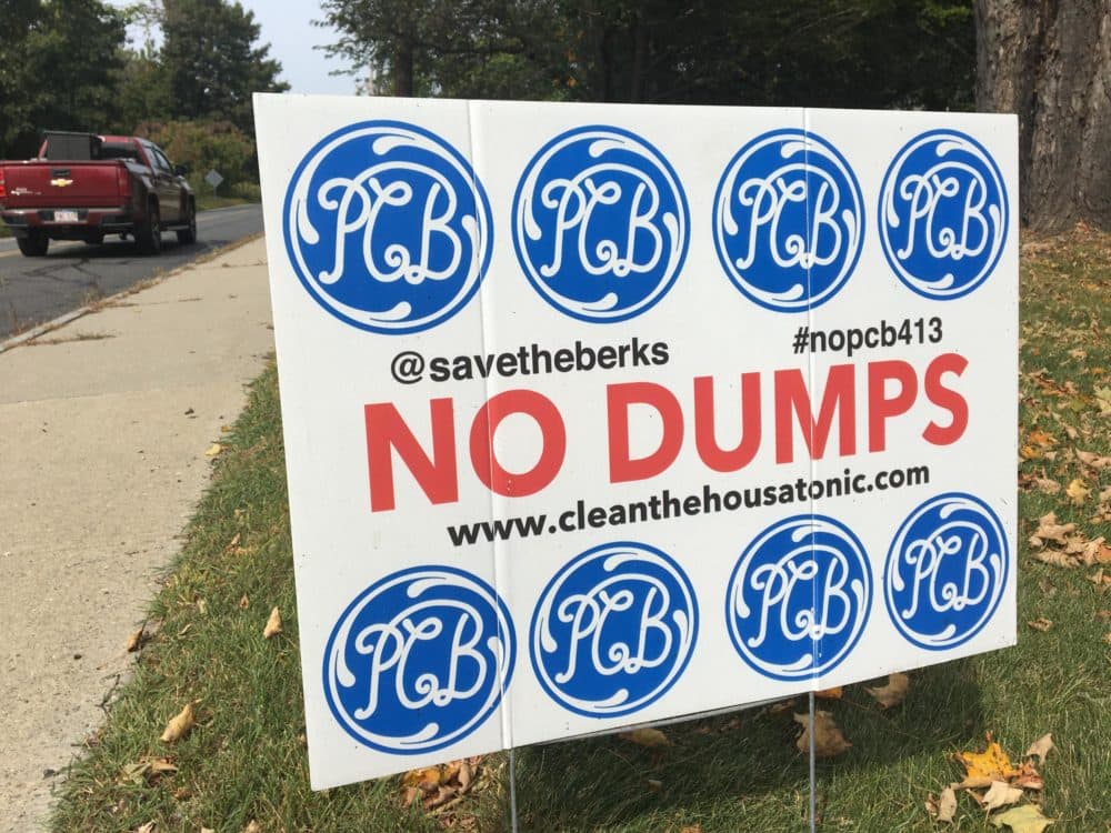 A lawn sign in Lee, Massachusetts, designed by Reed Anderson of Great Barrington, calls for no local dumps for PCB waste from General Electric. (Nancy Eve Cohen/NEPM)