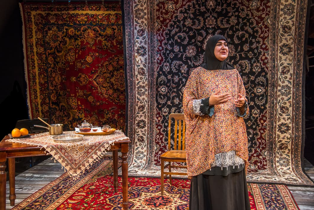 Rohina Malik in her one-woman show at New Repertory Theatre, &quot;Unveiled.&quot; (Courtesy Andrew Brilliant/Brilliant Pictures)