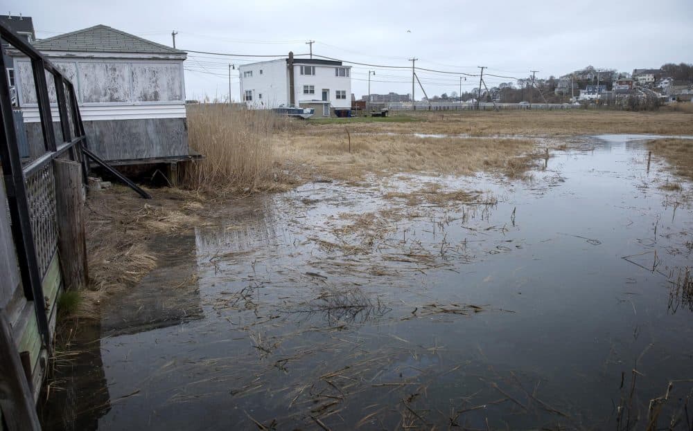 At high tide, water from Belle Isle Marsh comes right up to the yards of the houses on Pearl Ave. (Robin Lubbock/WBUR)
