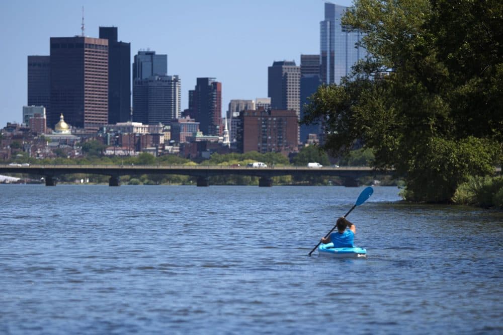 A woman kayaks in the Charles River. (Jesse Costa/WBUR)