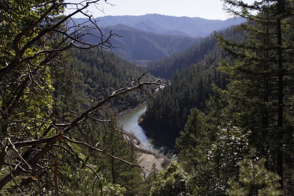 The Klamath River is seen flowing across northern California from atop Cade Mountain in the Klamath National Forest. (Gillian Flaccus/AP)