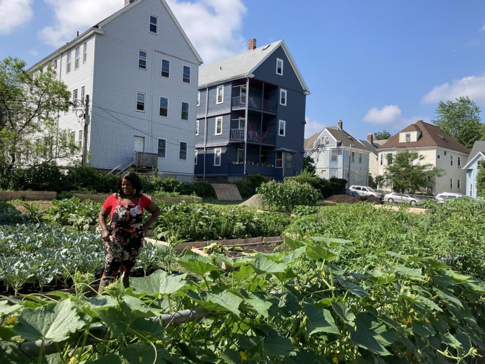Kafi Dixon on her Boston farm. (Courtesy Lost Nation Pictures)