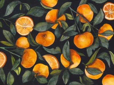 (&quot;Oranges&quot; by Sumit Gill)