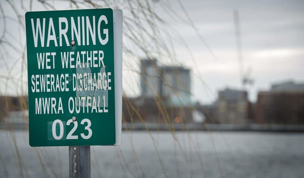 An MWRA wet weather sewage discharge outfall warning on the Charles River by the outlet of Boston's Muddy River in 2021. (Robin Lubbock/WBUR)