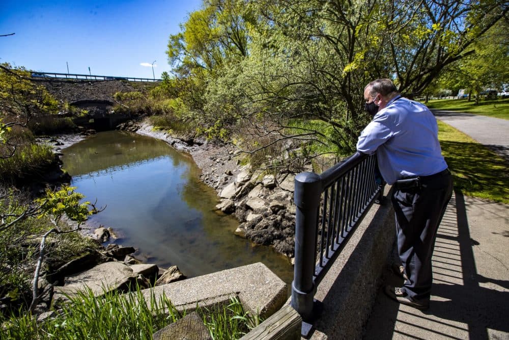 Charlie Jewell, director of planning at Boston Water and Sewer Commission, watches water flowing in Davenport Creek. When it rains, stormwater flows into this creek and eventually ends up in Boston Harbor. (Jesse Costa/WBUR)