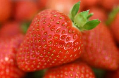 A close-up of strawberries. (Fred Tanneau/AFP/Getty Images)